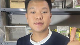 Live 22/ 8 cám chim và khướu bạc má