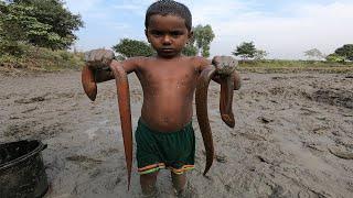 Amazing Eel Fishing in Mud | Boy Catching Eels by Hand