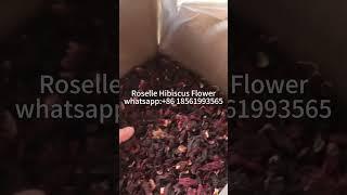 Roselle Hibiscus Flower, #roselle #hibiscus