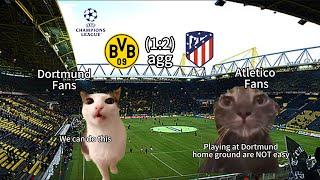 CAT MEMES FOOTBALL - Borussia Dortmund VS Atletico Madrid Champions League Quarter-FINAL Highlights