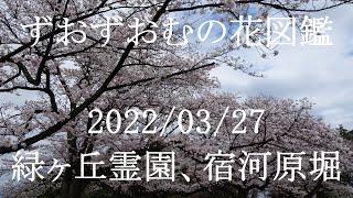 緑ヶ丘霊園、宿河原堀