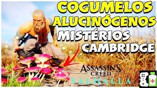 COGUMELOS ALUCINÓGENOS - MISTÉRIOS CAMBRIDGE - ASSASSIN'S CREED VALHALLA