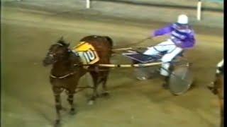 Harness Racing,Harold Park-19/12/1980 (Magic Toliver-I.Jones)