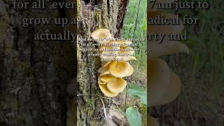 Devils Lake is a Green Witch’s paradise #greenwitchcraft #devilslake #greenwitch