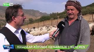 HASANLAR KÖYÜNDE HAYVANCILIK