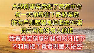 大學剛畢業我做了房產中介，有一天領導往下散發業務，說有戶別墅鬧鬼但佣金20萬，問公司有沒有人敢接，我看着空蕩蕩的錢包咬牙接下，不料剛接下竟發現驚天祕密