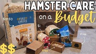 How to Set Up a HAMSTER Cage on a BUDGET  | affordable hamster cage setup