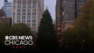 Countdown to Chicago Christmas tree lighting ceremony