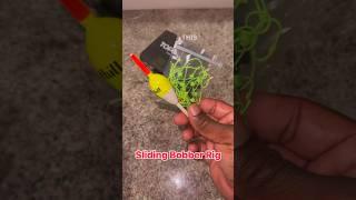 How To Setup A Sliding Bobber Rig #fishing #shorts #thecsickfisherman
