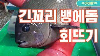 [긴꼬리벵에돔 회뜨기] 긴꼬리 벵에돔 1.8kg, 48cm 손질영상. 진짜 말이 안나오고 침만나옵니다. How to fillet Mejina.[수아아빠TV]