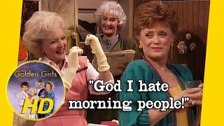 Gum, Soap, & Stock Puppets won't help Sophia's Hernia. - Golden Girls HD