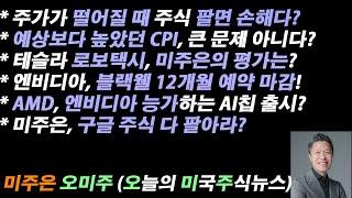 [오늘의 미국주식뉴스] 테슬라 로보택시, 미주은의 평가는? / 엔비디아, 블랙웰 12개월 예약 마감! / 미주은, 구글 주식 당장 팔아라? / 주가가 떨어질 때 주식 팔면 손해다?