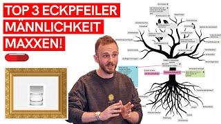 TOP 3 ECKPFEILER um "toxische" Männlichkeit ZU MAXXEN! (Ignorieren auf EIGENE GEFAHR!)