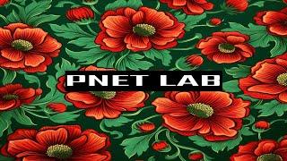 ЛАБЫ по СЕТЯМ №0. Установка PNET-lab.