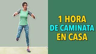 Caminar 1 Hora al Día - Camina en Casa Todos los Días