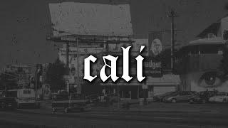 [FREE] Old School Boom Bap Type Beat "Cali" | Underground Hip Hop Rap Instrumental | Antidote