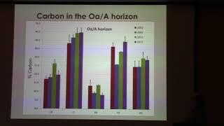 Trends (?) in Exchangeable Cations after Fifteen Years into a 150-Year Soil Monitoring Study