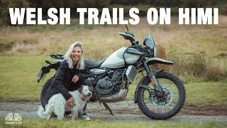 Basics How To Ride Trails / Royal Enfield Himalayan 450 In Wales