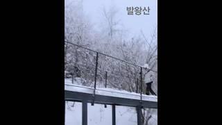 #천년주목길#발왕산#겨울#눈꽃