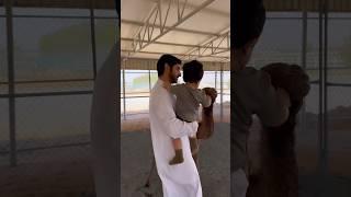 Sheikh Hamdan / فزاع FAZZA /son Mohammed & 