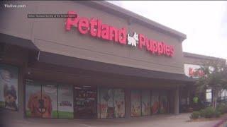 Reports of puppy illness, abuse at Kennesaw Petland store