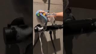 كوني ملكة في بيتك شغل البيت حلو لو حبيناه #minivlog #تنظيف_المنزل #تنظيف #ترتيب #نشاط #فلوق #روتين