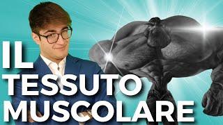 Il TESSUTO MUSCOLARE in poco più di 5 minuti | BIOLOGIA FACILE