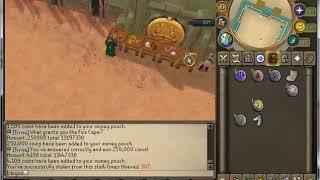 Runescape Private Server - Brand New RSPS 2019 - Beginners Guide!!