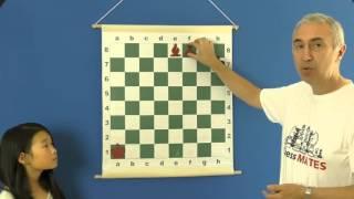 Avoiding the Stalemate - Chess for Beginners