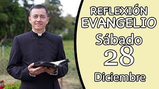 Evangelio de Hoy Sábado 28 de Diciembre de 2024  Lectura y Reflexión