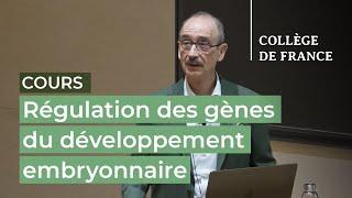 Régulation des gènes du développement embryonnaire... (2) - Denis Duboule (2024-2025)