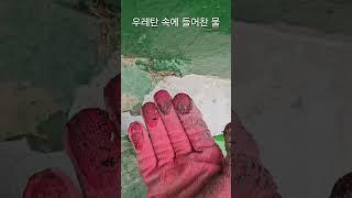 옥상방수 우레탄 뜯어보니 물이 가득