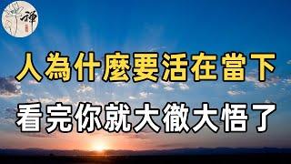 佛禪：不畏將來，不念過往！人生最重要的，就是活在當下，看完你就大徹大悟了