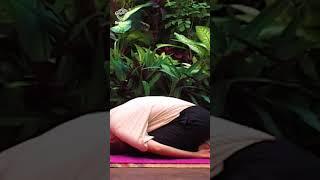 Yoga Danda Asana - Forward Bend Pose | Strengthens all major Core Muscles and Improves Posture