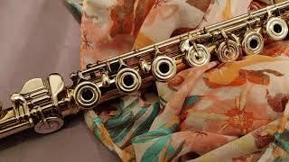 Handmade 9cr Gold Miyazawa Flute Secondhand - Product Spotlight