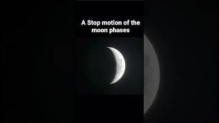 A Stop-motion of the moon phases!