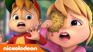 Can Alvin Rescue The Chipmunks From A TOAD Attack?! | ALVINNN!!! | Nicktoons