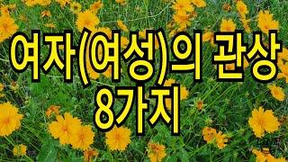 여자(여성)의 관상