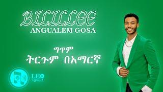 Bilillee | Andualem Gosa | New Oromo Music Lyrics 2024 | Leo Lyrics