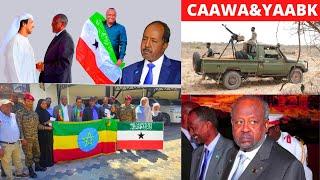 DEG__wasarada arimaha dibada somaliland o arin yaab o aqoonsiga lagu kenayo kentay&deni o ajnabi aya