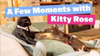 A Few Moments with Kitty Rose