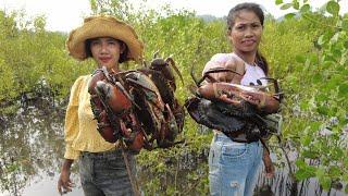 Brave Sisters Caught A Lot Of Huge Mud Crabs at Swamp Water Low Tide