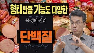 최낙언TV_물성의 원리4부_단백질