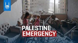 Palestine Emergency - Islamic Relief USA