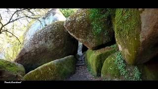 BREIZHZENITUDE , La forêt d'Huelgoat ,  La Bretagne vue du ciel