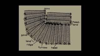 Ridge and Furrow