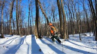 A Day Tracking Deer on Public Land Catskill High Peaks