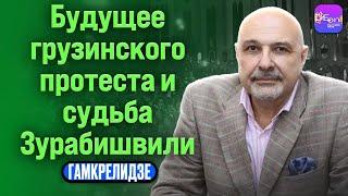  Гамкрелидзе | БУДУЩЕЕ ГРУЗИНСКОГО ПРОТЕСТА И СУДЬБА ЗУРАБИШВИЛИ