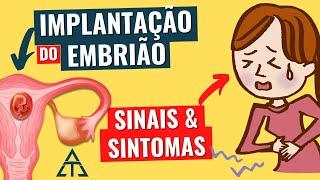 SINTOMAS DA IMPLANTAÇÃO DO EMBRIÃO NO ÚTERO (NIDAÇÃO): o que acontece após a CONCEPÇÃO!