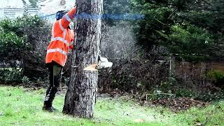 The aftermath of Storm Arwen is still being cleared up in Formby, Merseyside, UK